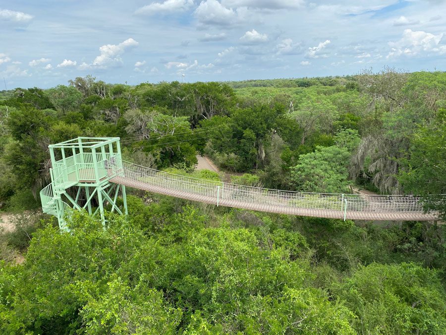 Large green bridge stretched along a forest in the city of Alamo